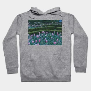 Amsterdam tulip Hoodie